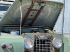 Thumbnail Photo 71 for 1964 Land Rover Series II